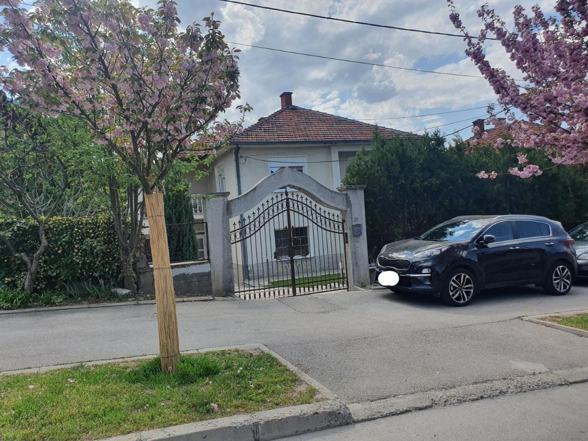 Guest House Jasmin Нишка-Баня Экстерьер фото